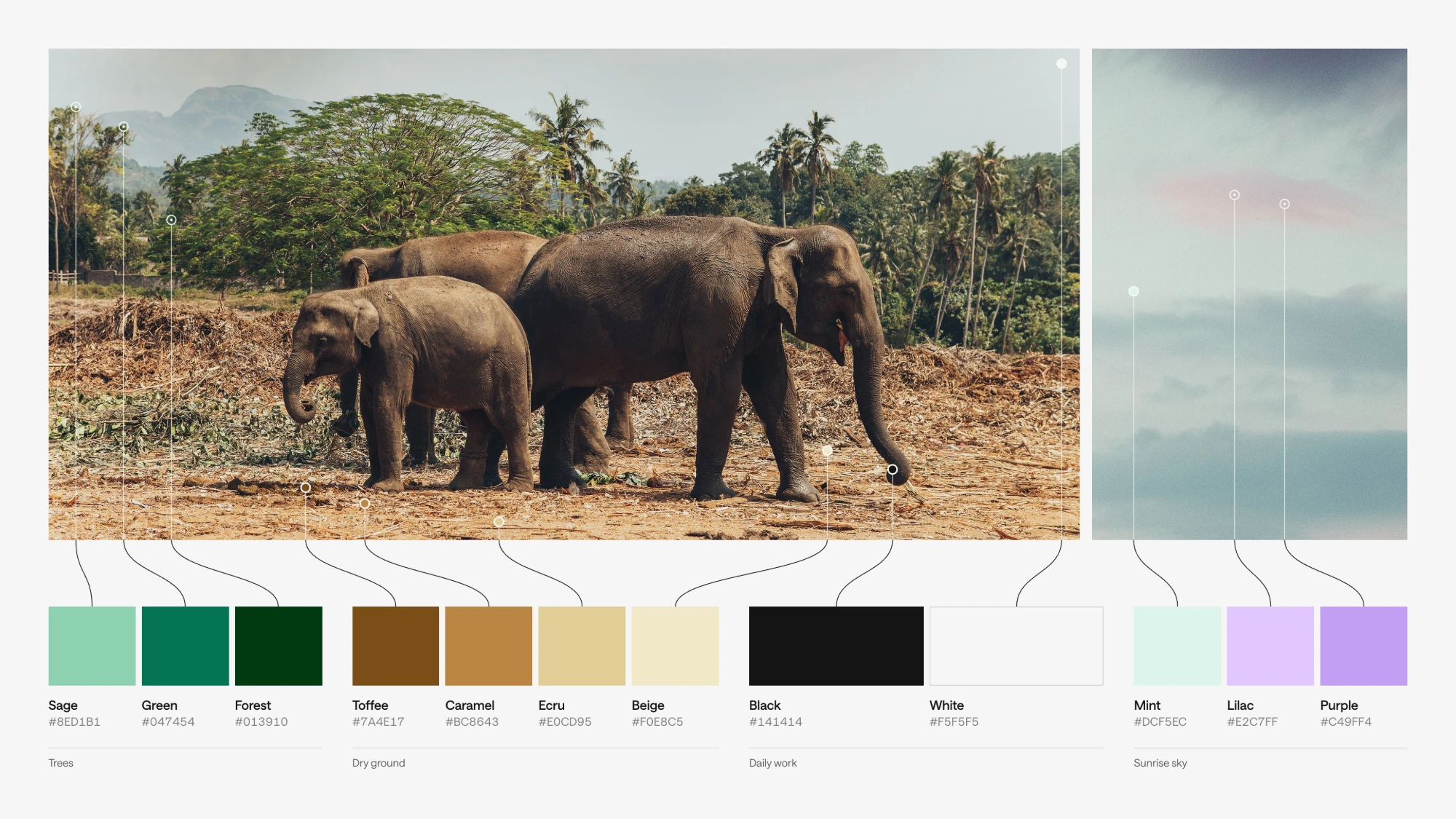 Artie's palette pulled from where elephants live: sage, green and forest from the trees; toffee, caramel, ecru and beige from the dry ground; black and white for daily work; mint, lilac and purple from a sunrise sky